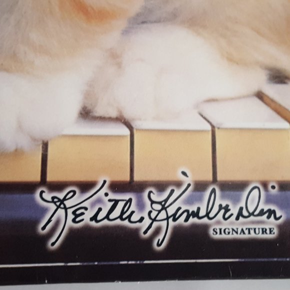 2-Pocket Folder Class Act Paper Portfolio Kittens Keith Kimberlin - Picture 3 of 10